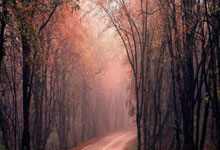 问鼎娱乐官网:官方:17岁亚马尔获2024年金童奖.