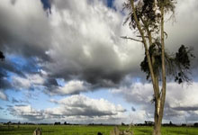 中超第4轮,山东泰山-成都蓉城,前瞻:硬碰硬.