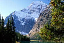 帕利尼亚回应离队传闻:外界议论不会影响我,我来这里就是为了夺冠.